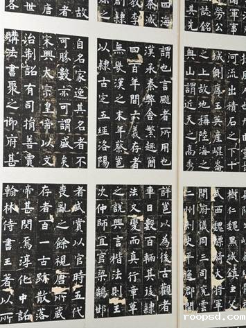 8e6a6f98cf00c119eb8c0dad547182e