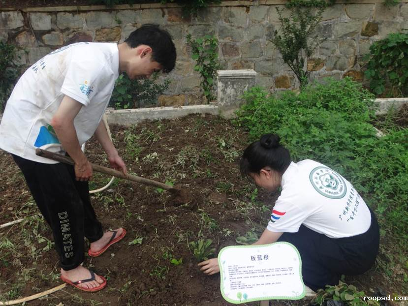 6edec5f60480fc7a642928331aa183de