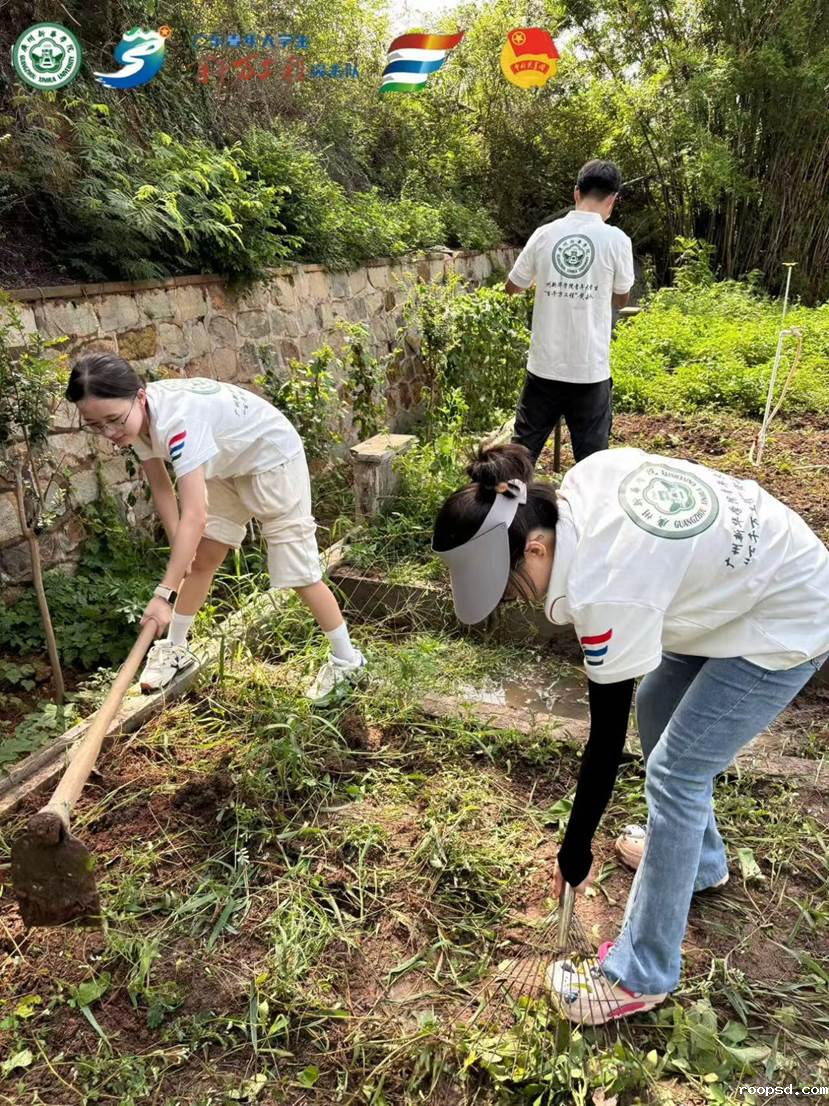 8f25f608155be68df4ae53563869e103